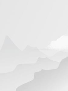 小蚊子第18本书