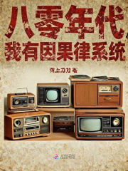 八零年代,我有因果律系统