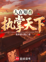 人在知否:执掌天下